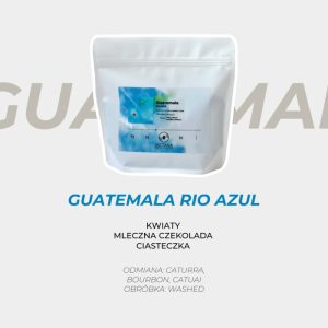 Guatemala Rio Azul Filter